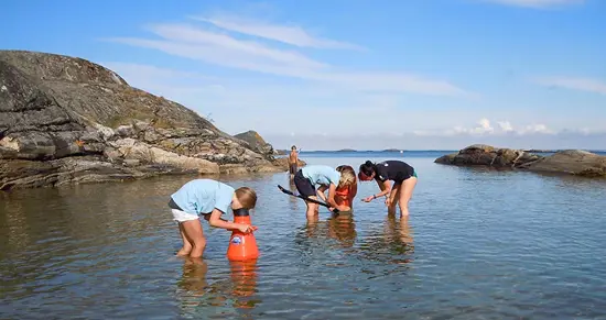 Bild för Naturum Kosterhavet