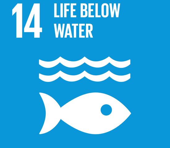 Bild för Marine Conservation is one of the Global Goals