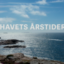 Havets årstider