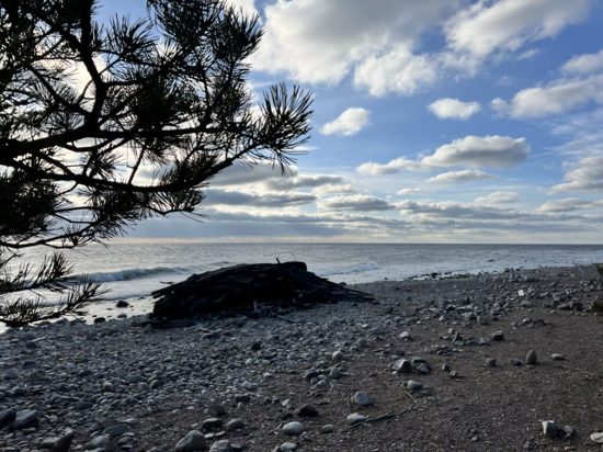 Bild för Naturum Trollskogen