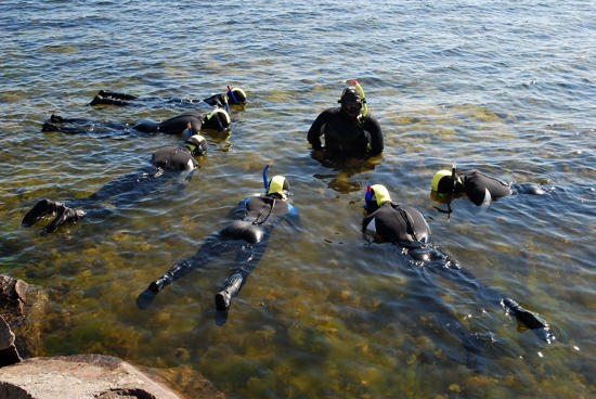 Bild för Naturum Västervik