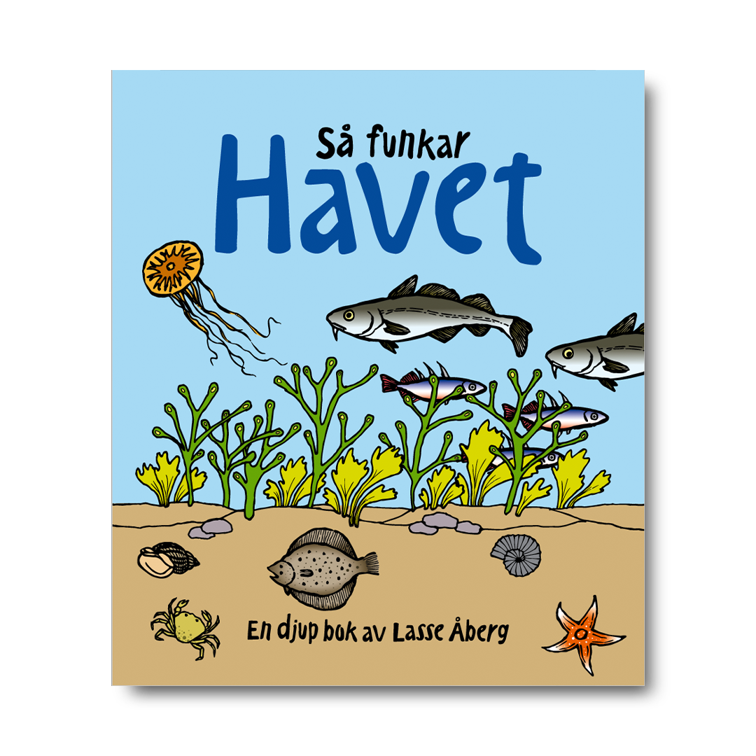 Så funkar havet